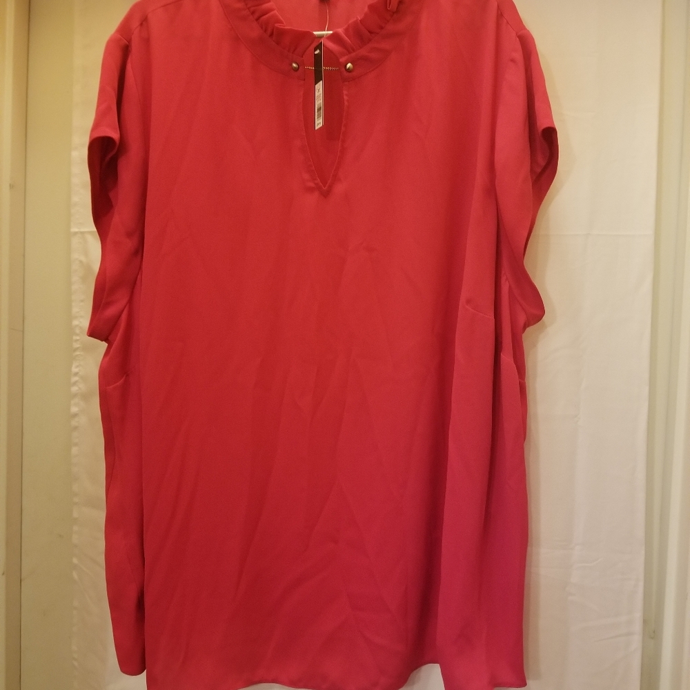 NWT Limited collection